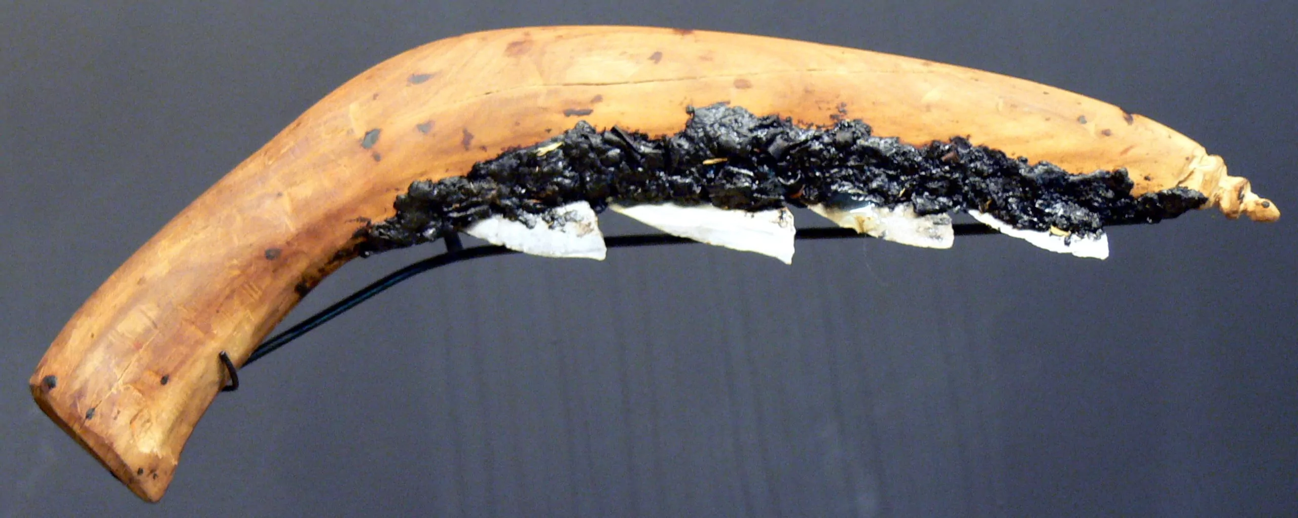 sickle neolithic cropped