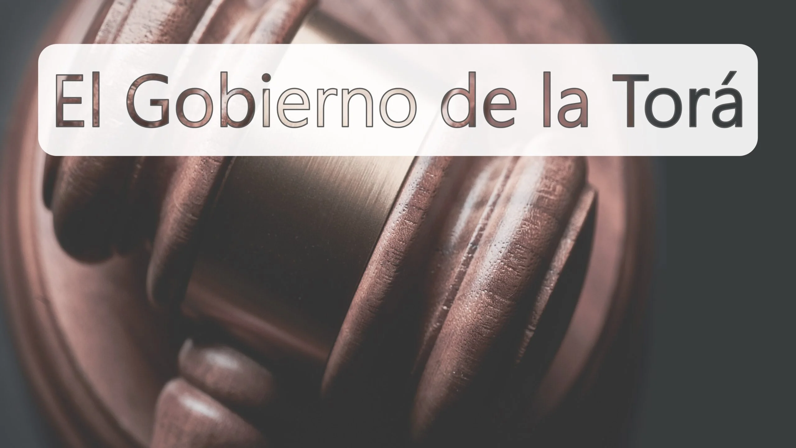 el-gobierno-de-la-tora-cover