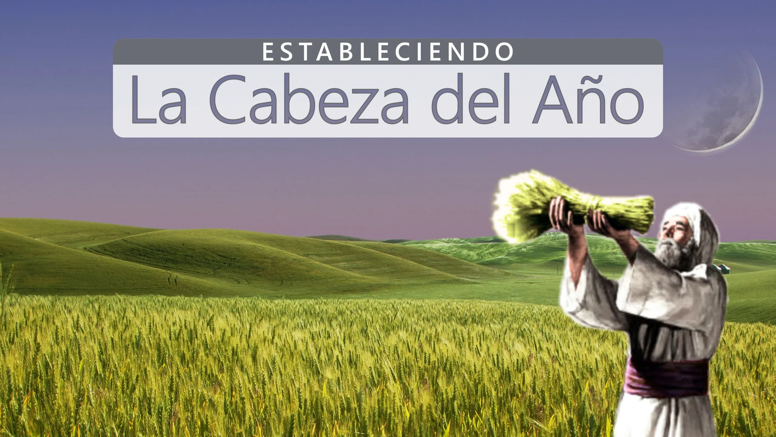 estableciendo-la-cabeza-del-anio-libro-cover