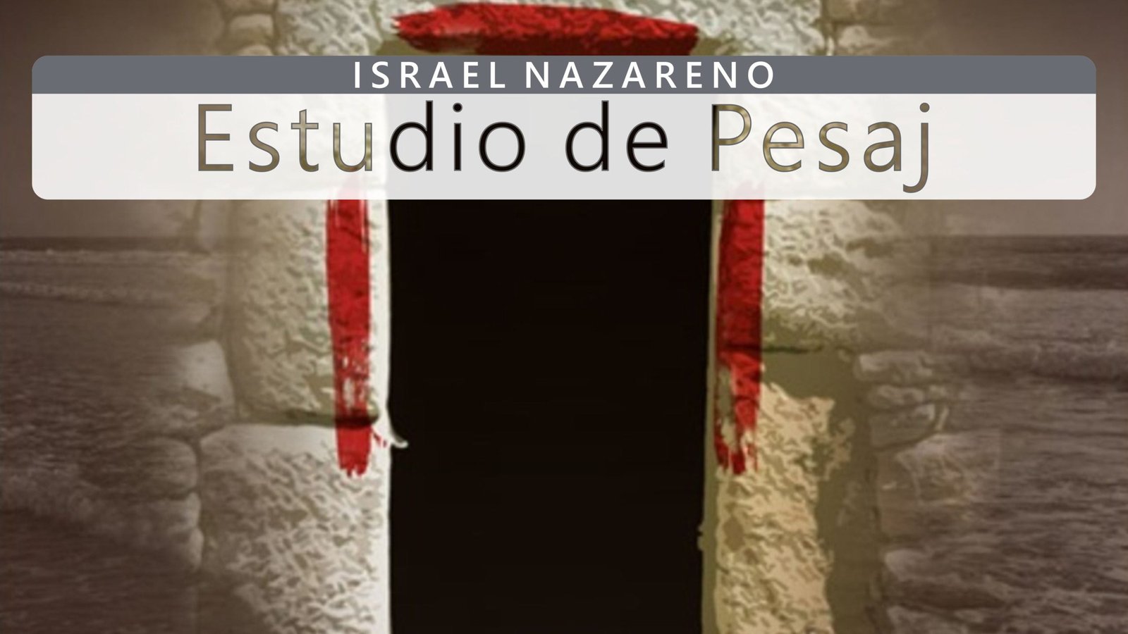 estudio-de-pesaj-libro-cover