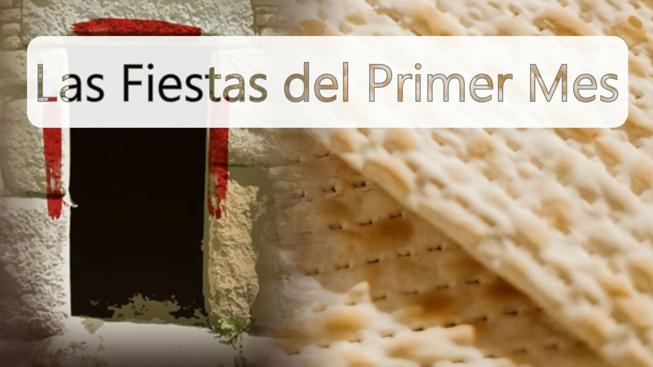 las-fiestas-del-primer-mes-libro-cover