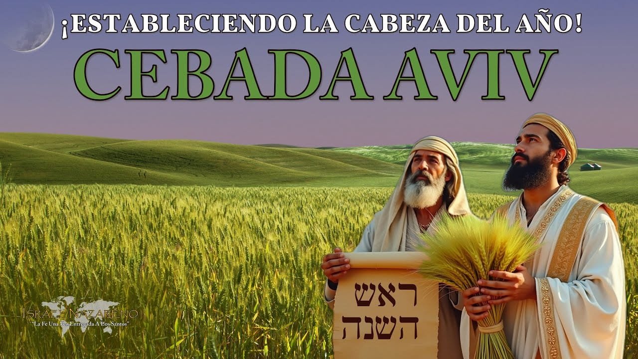 cebada aviv estableciendo la cab