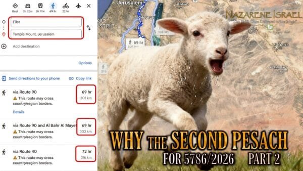 why second pesach final cover part 2