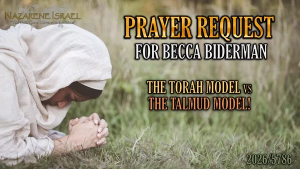 prayer request becca biderman web cover 1536x864.jpg