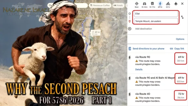 why second pesach final cover 1 1536x864 1