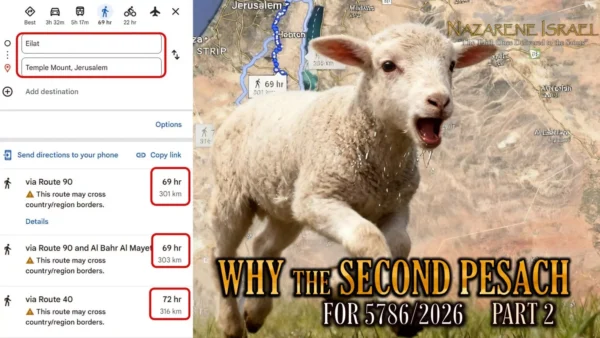 why second pesach final cover part 2 1536x864 1